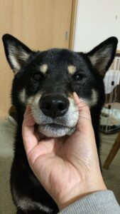わかりにくい！