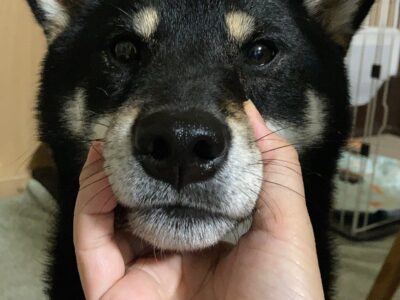 わかりにくい！